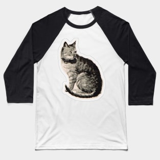 Cat vintage drawing Baseball T-Shirt